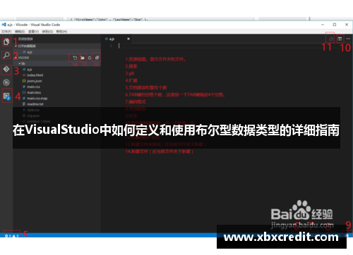 在VisualStudio中如何定义和使用布尔型数据类型的详细指南